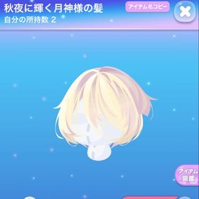 秋夜に輝く月神様の髪 | ポケコロのアイテム、RMTの販売・買取一覧