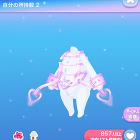 一点250円ピンキーハーネスベルト | ポケコロのアイテム、RMTの販売・買取一覧