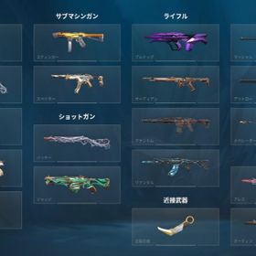 引退するので売ります スキン多数 | VALORANT(ヴァロラント)のアカウントデータ、RMTの販売・買取一覧