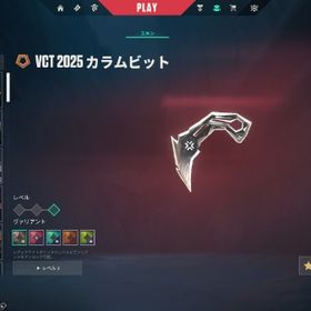 課金額15万弱champion2024セット、vctカラムビット所持ほか課金スキン多数！ | VALORANT(ヴァロラント)のアカウントデータ、RMTの販売・買取一覧