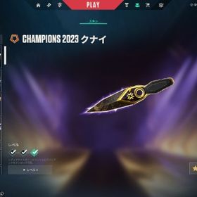 課金額10万以上！champions2023セット+2025 スキン多数 メアパス即変更可能！ | VALORANT(ヴァロラント)のアカウントデータ、RMTの販売・買取一覧