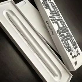 Apple Pencil Pro シルバー 箱付き(M2-M4)