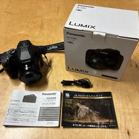 Panasonic LUMIX DC-FZ85 コンパクトデジタルカメラ 中古