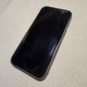 iPhone 13 Pro Max 本体