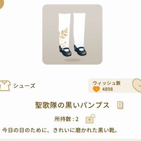 聖歌隊の黒いパンプス | リヴリーアイランドのアイテム、RMTの販売・買取一覧