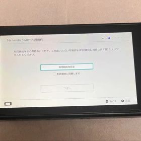 Nintendo Switch グレー/ブルー 本体