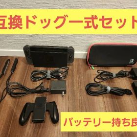 【追加ドッグ・スプラ2ケース付】Nintendo Switch 本体 グレー