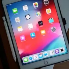 ipad pro 9.7 (256GB)