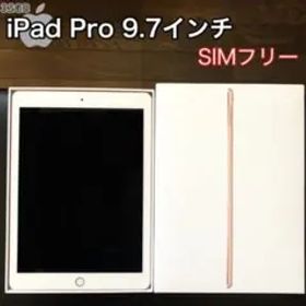 iPadPro 9.7インチ 32GBWiFi+simフリー モデル カバー付き