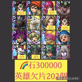 🌈【初期垢石30万】ロト女勇者完凸 ルビス1凸 エイト ガルゲオス 大魔王 | ドラクエタクトのアカウントデータ、RMTの販売・買取一覧