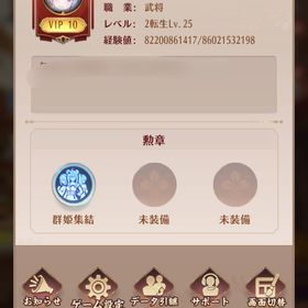 VIP10 闘技場10位以内 最新鯖 同盟毎週1位 最強アカウント 元宝10万以上 課金アイテム多数 | 放置少女のアカウントデータ、RMTの販売・買取一覧