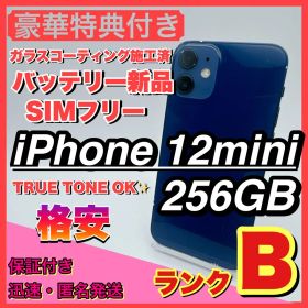 【格安】iphone 12 mini 256GB グリーン 小型 新品電池