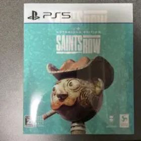ps5 セインツロウ ノトーリアスエディション