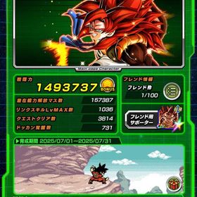引退品 (破格だと思います) ランク721 新16号獲得済み⤴︎ | ドッカンバトルのアカウントデータ、RMTの販売・買取一覧