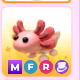 【adopt me】MFR axolotl💞 | ロブロックス(ROBLOX)のアカウントデータ、RMTの販売・買取一覧