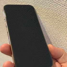 Apple iPhone 16 Pro デザートチタニウム 本体 256GB