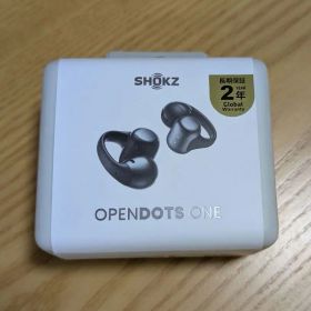 Shokz (ショックス) OPENDOTS ONE Black