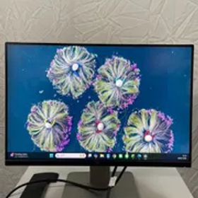 DELL / デル U2415b 24インチモニター 19年製 【522】