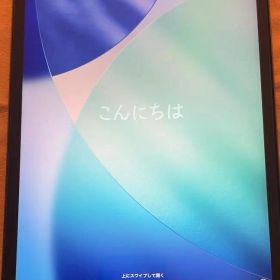 Apple iPad Pro 11 64GB A1934 本体 ジャンク品