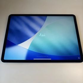 iPad Pro 11 2018 シルバー 本体 256GB wi-fiモデル