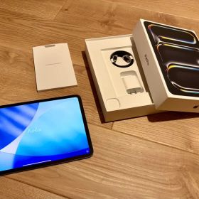 iPad Pro 11 M4 256GB Wi-Fi SIMフリー 美品