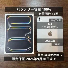 iPad Pro 11インチ M4 256GB Wi-Fi シルバー