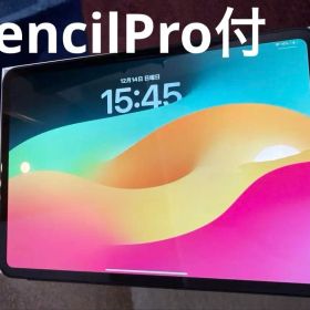 Apple iPad Pro 11インチ M4 スペースブラック おまけ付き