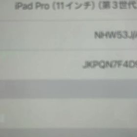 iPad Pro 11インチ第3世代 スペースグレーWiFi Celullar