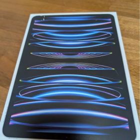 ジャンク品 シルバー iPad Pro 11インチ 第4世代 箱付き