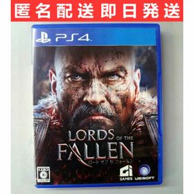 PS4ゲームソフト『ロード オブ ザ フォールン』アクション・RPGゲーム(家庭用ゲームソフト)