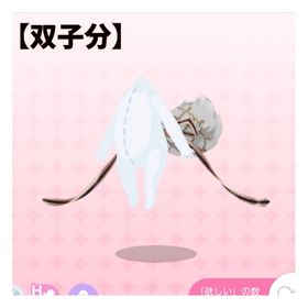 【双子分】彷徨う兎のしっぽ | ポケコロツイン(ポケツイ)のアカウントデータ、RMTの販売・買取一覧