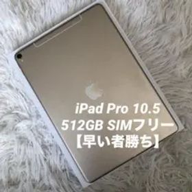 【完動品】iPad Pro 10.5 512GB SIMフリー 【すぐ発送】