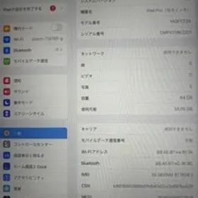 iPad Pro 10.5インチ 64GB