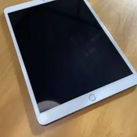 iPad Pro 10.5インチ 256gb⚠️画面に線あり