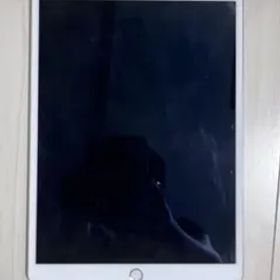 Apple iPad Pro 10.5インチ ゴールド (箱・充電器付き)