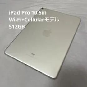 iPad Pro 10.5 512GB Wi-Fi Cellular 本体
