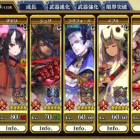 チドリ完凸 ワカバ完凸 石1200 | チェインクロニクル(チェンクロ)のアカウントデータ、RMTの販売・買取一覧