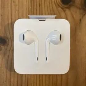 Apple EarPods with Lightning Connector