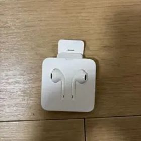 Apple EarPods with Lightning Connector