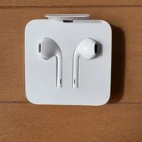 Apple EarPods with Lightning Connector
