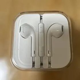 Apple EarPods with Case