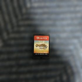 ケースなし ポケモン不思議のダンジョン救助隊DX