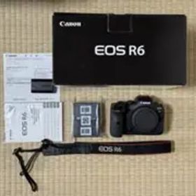 Canon EOS R6 ミラーレス一眼カメラ SDカードおまけ