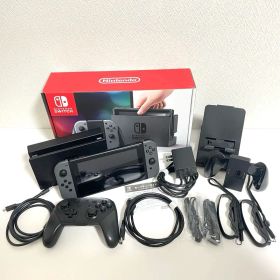 Nintendo Switch 本体 グレー 付属品・プロコンセット 動作確認品