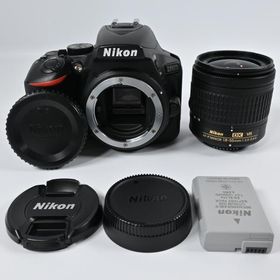 Nikon D5600 AF-P 18-55mm VR レンズキット ショット数 6348回