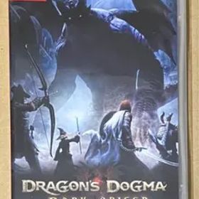 ドラゴンズドグマ：ダークアリズン 通常版 ニンテンドースイッチ 動作確認済①