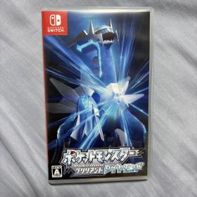 動作確認済み ポケットモンスター ブリリアントダイヤモンド