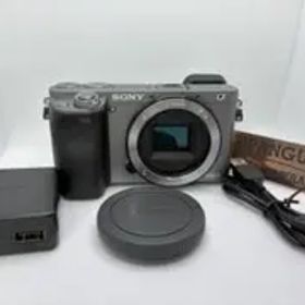 ショット数750回 SONY α6000 ボディーシルバー ILCE-6000