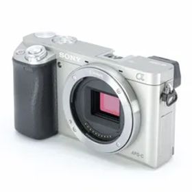 SONY(ソニー) α6000 ILCE-6000L パワーズームレンズキット シルバー _GP00001887