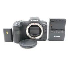 【極上品】CANON キャノン EOS R5 ショット数9000枚!